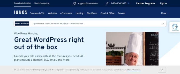 Ionos.com Web Hosting Review: Unlimited Flexibility for your WordPress Website