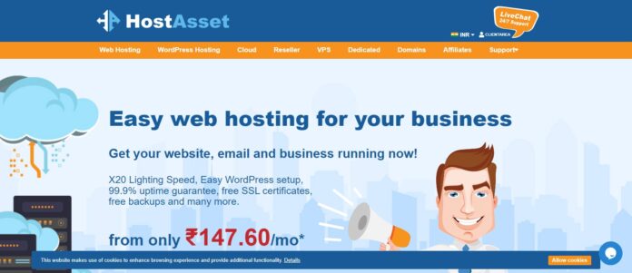 Hostasset Web Hosting Review: Easy Web Hosting for Your business