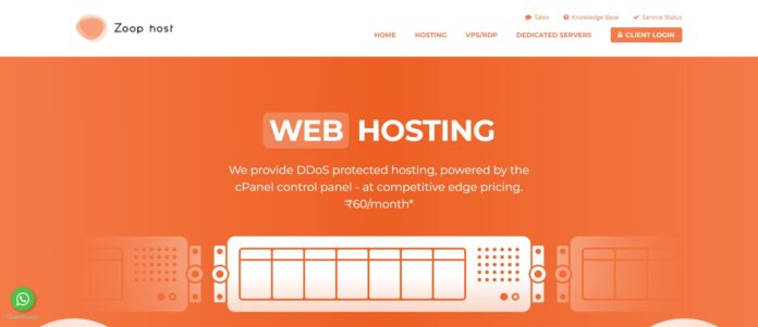 Zoophost Web Hosting Review: Get Your Perfect Hosting Plan