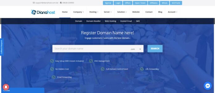 Dianahost Web Hosting Review: Services They Provide With Love