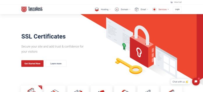Tanzahost Web Hosting Review: 100% Uptime Guaranteed